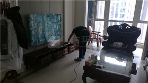 海信君逸甲醛治理