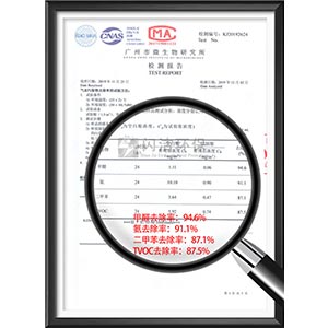 氣態污染物去除率檢測報告